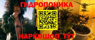 прущие грибы Малоярославец
