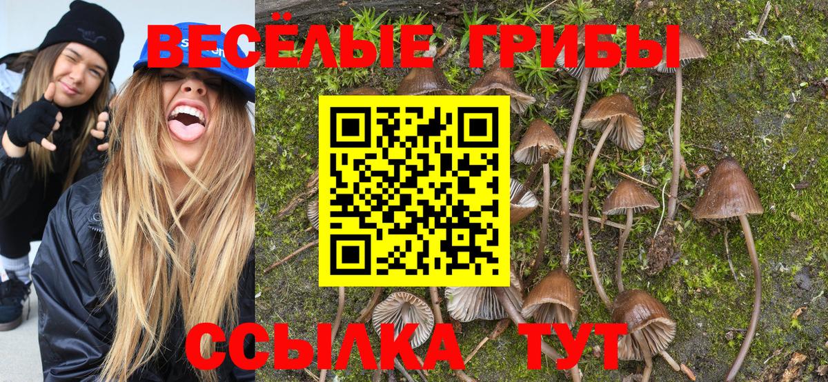 Псилоцибиновые грибы Magic Shrooms  Вход с VPN  Псилоцибиновые грибы Cubensis  Сорочинск 